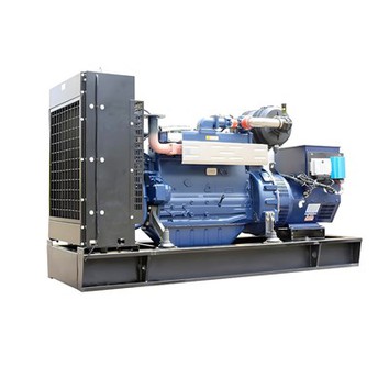 20kw Biogas Generator Set